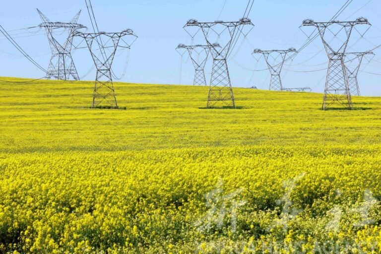 ECOWAS $465 Million Regional Power Project