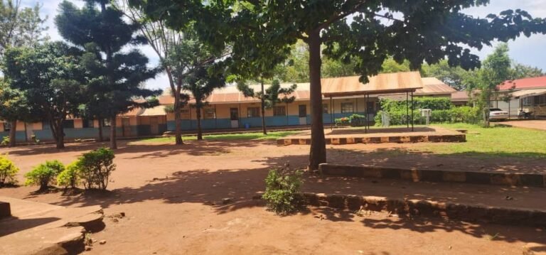 Uganda Schools Turn to Private Teachers as National Strike Paralyzes Education System