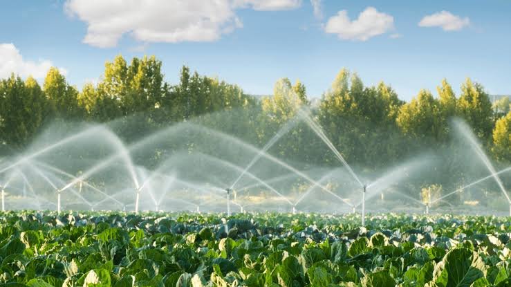 Climate-Smart Irrigation Revolutionizes Farming for Zimbabwe