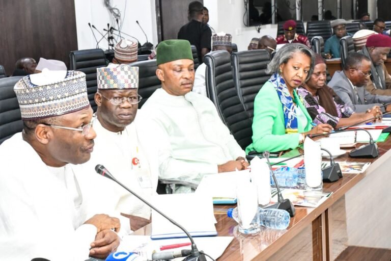 Screening Begins for INEC Chair Candidates