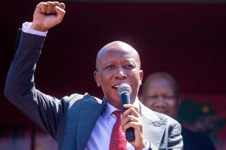 EFF Mobilizes Ahead of Crucial Malema Sentencing Hearing