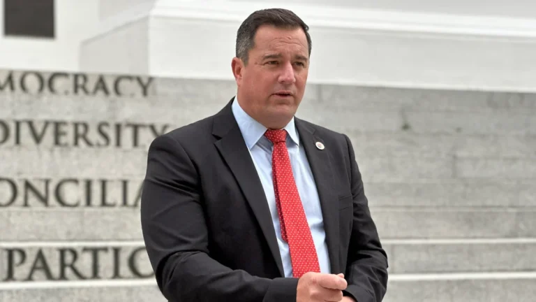 With John Steenhuisen Out, the DA Seeks a New Leader and a New Path